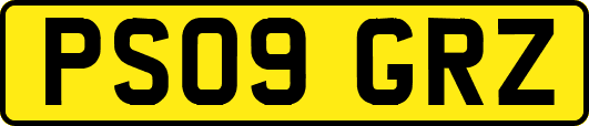 PS09GRZ