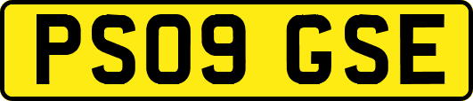 PS09GSE
