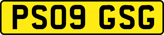 PS09GSG