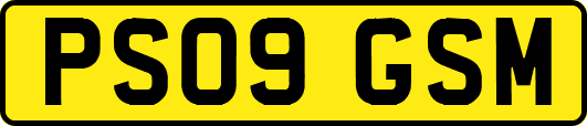 PS09GSM