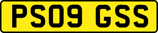 PS09GSS