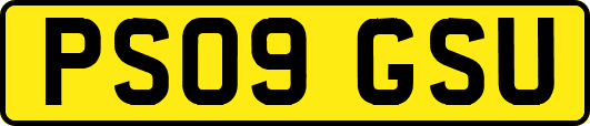 PS09GSU