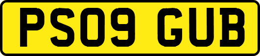 PS09GUB