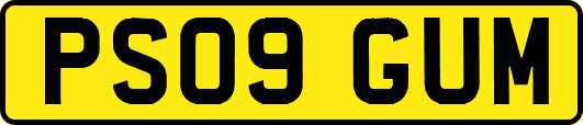 PS09GUM