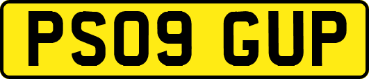PS09GUP