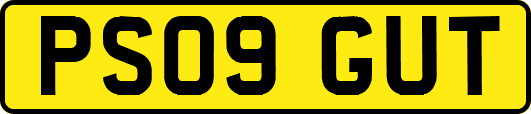 PS09GUT