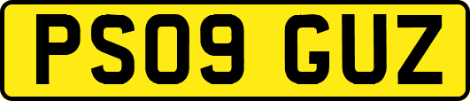 PS09GUZ