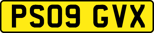 PS09GVX
