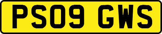 PS09GWS