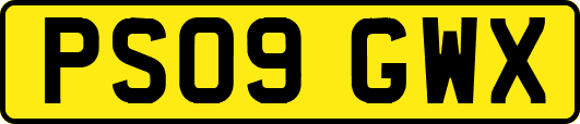 PS09GWX