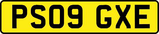 PS09GXE