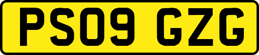 PS09GZG