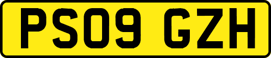 PS09GZH
