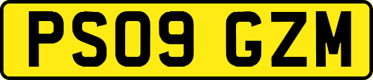 PS09GZM