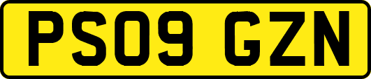 PS09GZN