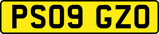 PS09GZO