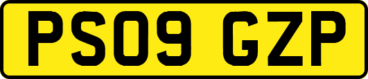 PS09GZP