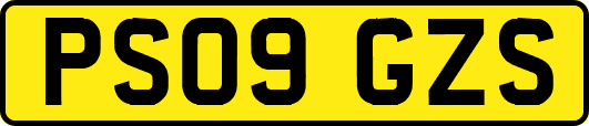 PS09GZS