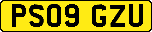 PS09GZU