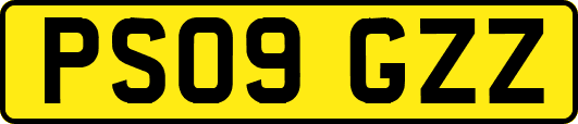 PS09GZZ