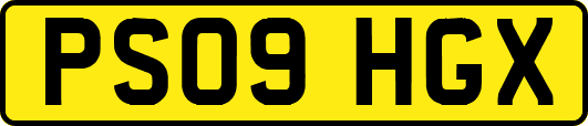 PS09HGX