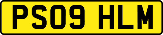 PS09HLM