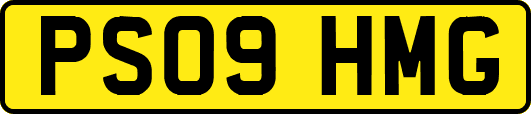 PS09HMG
