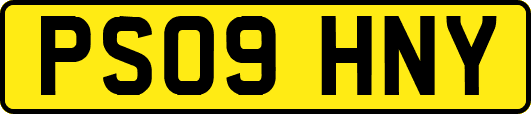 PS09HNY