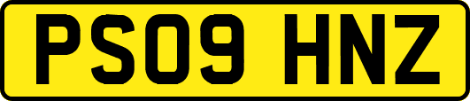 PS09HNZ