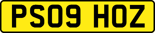 PS09HOZ