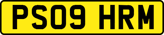 PS09HRM