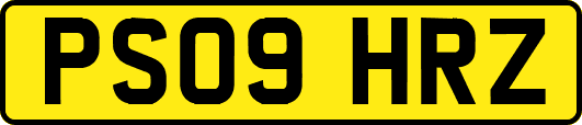 PS09HRZ