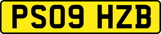 PS09HZB