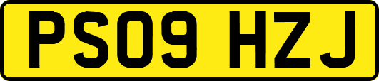 PS09HZJ