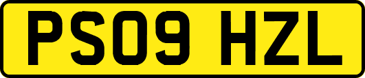 PS09HZL