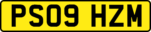 PS09HZM