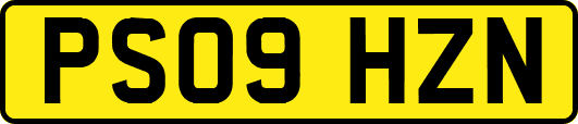PS09HZN
