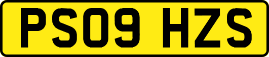 PS09HZS