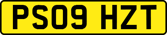 PS09HZT