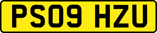 PS09HZU