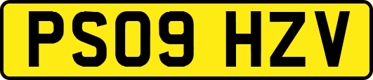 PS09HZV