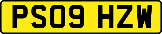 PS09HZW