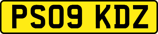 PS09KDZ