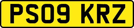 PS09KRZ