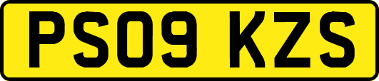 PS09KZS