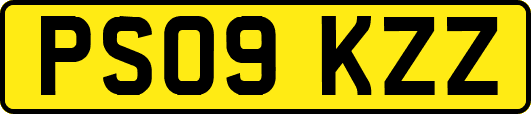 PS09KZZ