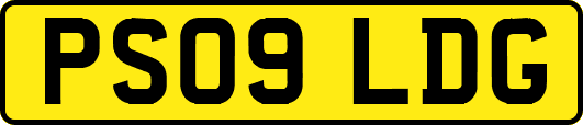 PS09LDG