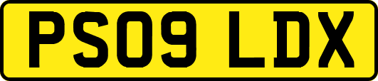 PS09LDX