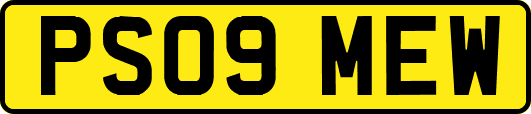 PS09MEW