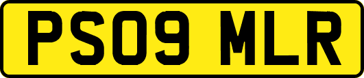 PS09MLR